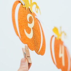 Pumpkin 1st Birthday Photo Banner Orange and Gold Glitter, Pumpkin Patch Baby Monthly New Born Garland 12 month Little Pumpkin First Themed Decorations Baby Thanksgiving Party Milestone Fall Photo