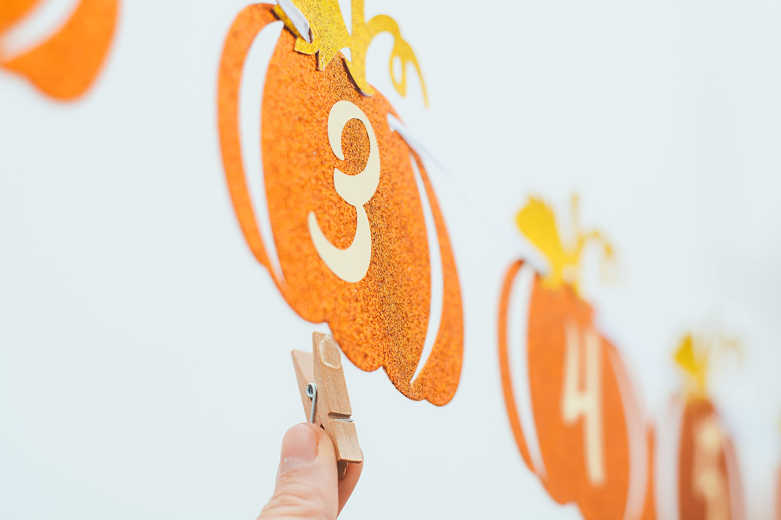 Pumpkin 1st Birthday Photo Banner Orange and Gold Glitter, Pumpkin Patch Baby Monthly New Born Garland 12 month Little Pumpkin First Themed Decorations Baby Thanksgiving Party Milestone Fall Photo