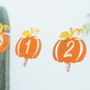 Pumpkin 1st Birthday Photo Banner Orange and Gold Glitter, Pumpkin Patch Baby Monthly New Born Garland 12 month Little Pumpkin First Themed Decorations Baby Thanksgiving Party Milestone Fall Photo