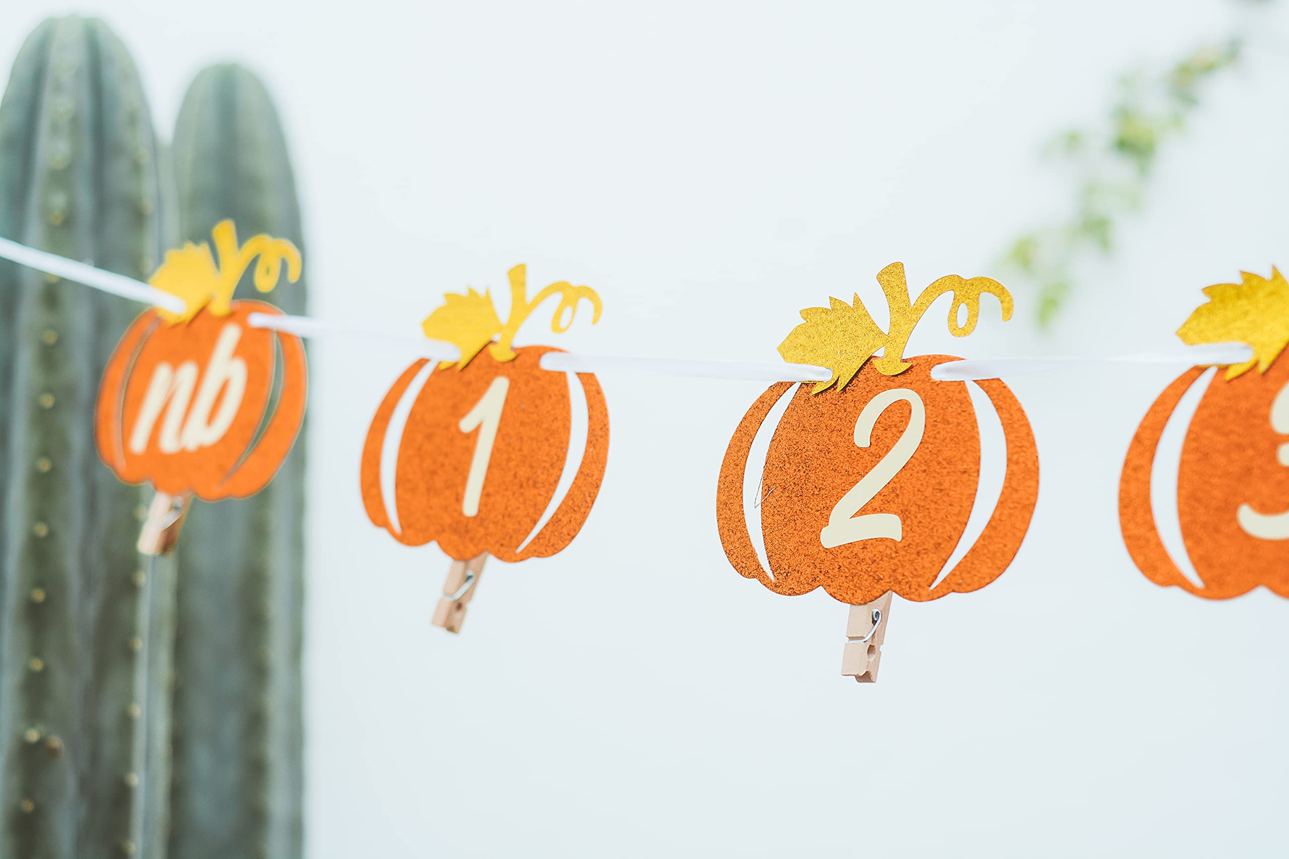 Pumpkin 1st Birthday Photo Banner Orange and Gold Glitter, Pumpkin Patch Baby Monthly New Born Garland 12 month Little Pumpkin First Themed Decorations Baby Thanksgiving Party Milestone Fall Photo