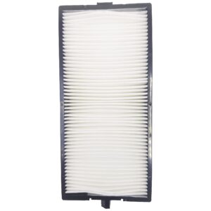 Leankle Air Filter Replacement for Panasonic ET-RFE300, PT-EW540, PT-EW550, PT-EW640, PT-EW650, PT-EW730Z, PT-EX510, PT-EX520, PT-EX610, PT-EX620, PT-EX800Z, PT-EZ580, PT-EZ590, PT-EZ770Z