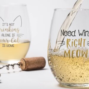 Lillian Rose 2 Cat Lover Wine Glasses with Funny Sayings, 2 Count (Pack of 1), Clear