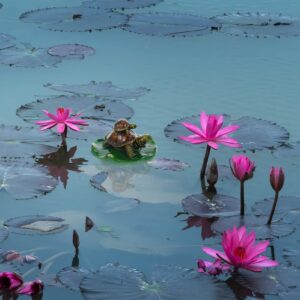 Happyyami Artificial Floating Foam Lotus Flowers Artificial Lily Pad Turtle Floating Lotus Leaves Water Lily Pad for Pond Aquariums Fish Tank Pool Decorations