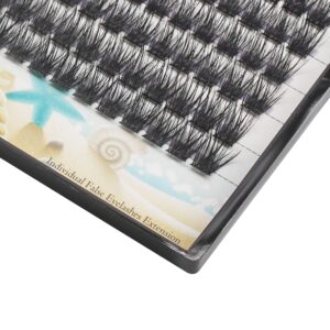 Large Tray- 10-20MM Available 120 Pcs D Curl Cluster Eyelashes Makeup Volume Eye Lashes Extensions Natural Long Wide Stem Individual False Eyelashes (12mm)