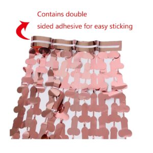 Bachelorette Party Decorations Rose Gold Fringe Curtains Bridal Shower Decorations Hen Party Rose Gold Pink Backdrop (2 Pack 3.2 x 6.6 ft) (Rose Gold)