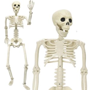 36" halloween skeleton decoration, 3ft realistic human full body movable posable joints skeleton, plastic human bones body prop for halloween haunted house graveyard indoor/outdoor decor