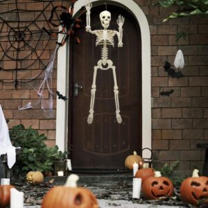 36" Halloween Skeleton Decoration, 3FT Realistic Human Full Body Movable Posable Joints Skeleton, Plastic Human Bones Body Prop for Halloween Haunted House Graveyard Indoor/Outdoor Decor