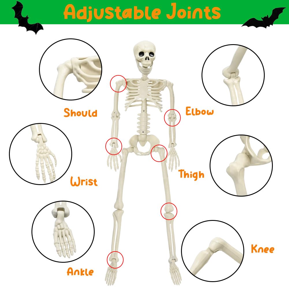 36" Halloween Skeleton Decoration, 3FT Realistic Human Full Body Movable Posable Joints Skeleton, Plastic Human Bones Body Prop for Halloween Haunted House Graveyard Indoor/Outdoor Decor