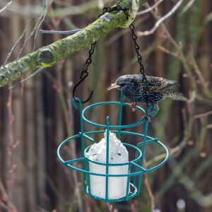 6 Pack 9.5 Inch Hanging Chain for Bird Feeders, Planters, Lanterns, Wind Chimes, Billboards, Chalkboards and Ornaments (Black)