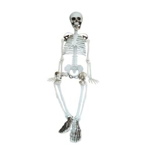 36” halloween skeleton full body life like skeleton model with movable joints for halloween decoration