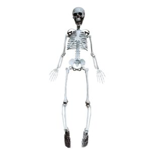 36” Halloween Skeleton Full Body Life Like Skeleton Model with Movable Joints for Halloween Decoration