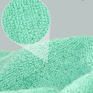 Cleanbear Soft Hand Towels - 100% Cotton Bath Hand Towel Set, Lightweight for Quick Dry (2 Pack, 13 x 29 Inches) (Pink, Blue and Green)