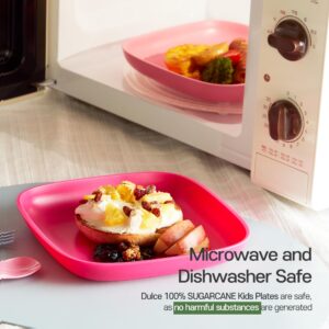 SUGARCANE Kids Plates 5Pack (7.9”) - Organic Dishes for Toddler to Big Kids - USDA Certified – Microwaves & Dishwasher Safe – BPA Free, Unbreakable, Reusable - Multi