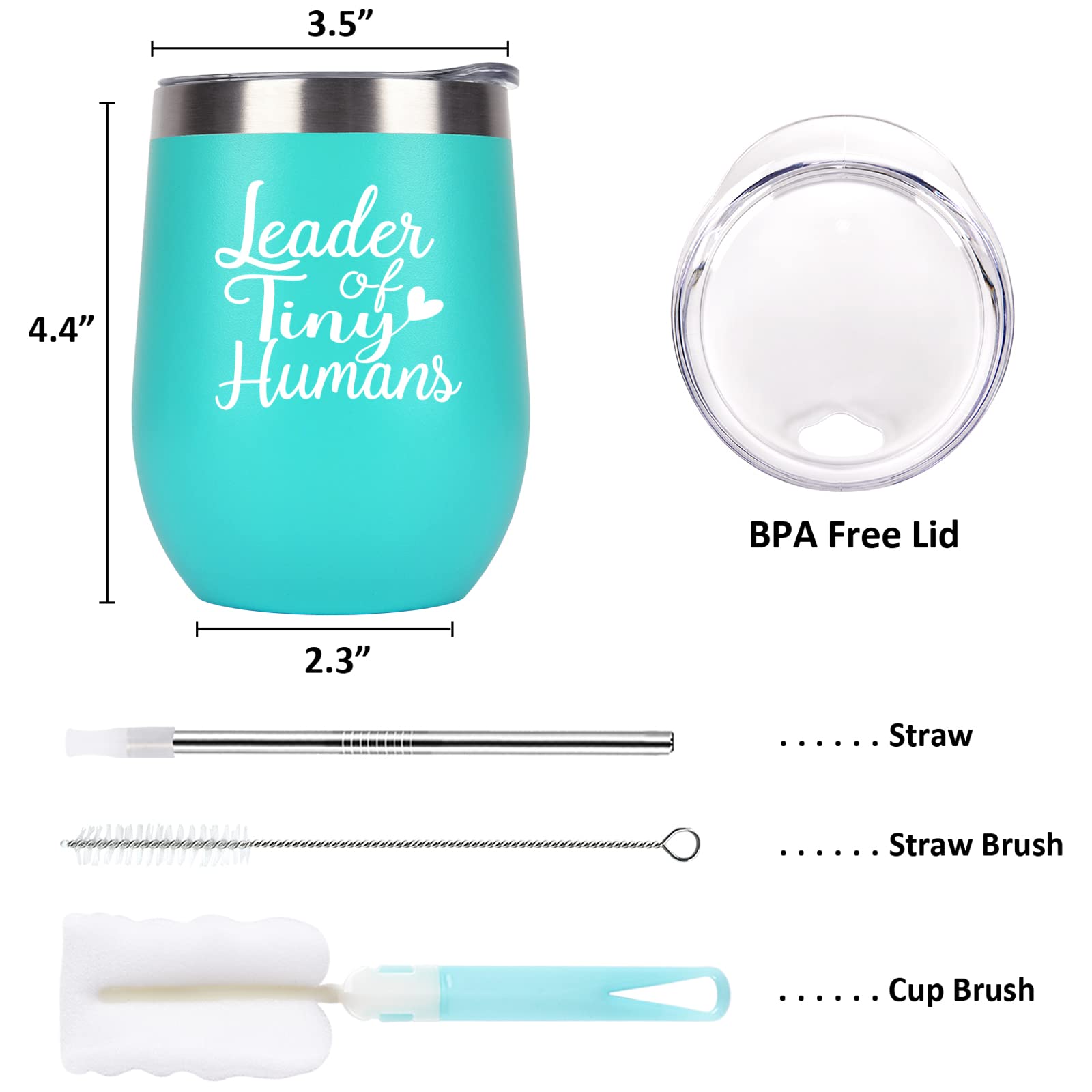 Teacher Appreciation Gifts for Women, Leader of Tiny Humans Stainless Steel Insulated Wine Tumbler with Lid, Christmas Birthday Teacher’s Day Thank You Gifts for Teacher Professor (12 Oz, Mint)