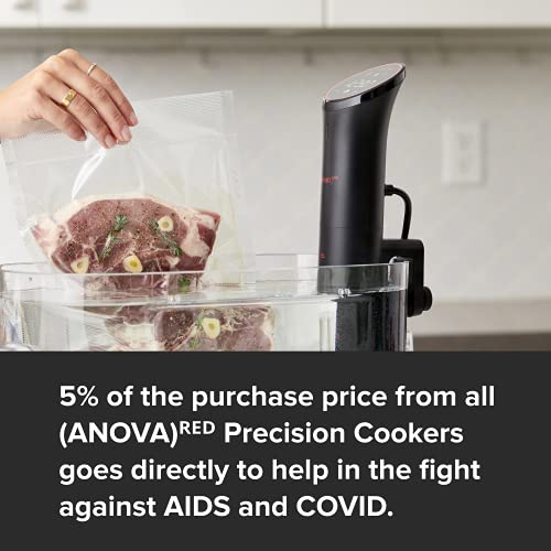 Anova Culinary (ANOVA)ᴿᴱᴰ Precision Cooker Nano, Black, Small