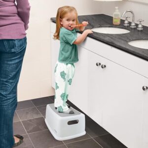 Dreambaby Toddler & Me Step Stool Potty Seat Training Aid with Anti-Slip Sure-Grip Steps, Holds up to 320 lbs for Kids & Adults, Grey