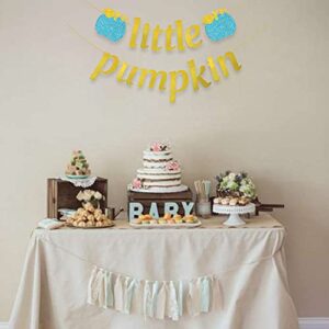 Blue Little Pumpkin Banner Glitter Fall Boy Birthday Baby Shower Decoration Cake Smash Backdrop Halloween Thanksgiving Party Supplies