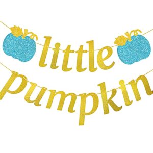 Blue Little Pumpkin Banner Glitter Fall Boy Birthday Baby Shower Decoration Cake Smash Backdrop Halloween Thanksgiving Party Supplies