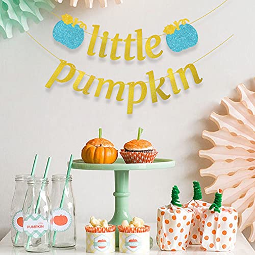 Blue Little Pumpkin Banner Glitter Fall Boy Birthday Baby Shower Decoration Cake Smash Backdrop Halloween Thanksgiving Party Supplies