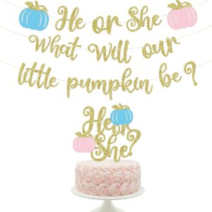 pumpkin gender reveal decorations fall gender reveal decorations he or she what will our little pumpkin be banner he or she cake topper he or she fall baby gender reveal party supplies