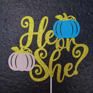 Pumpkin Gender Reveal Decorations Fall Gender Reveal Decorations He or She What Will Our Little Pumpkin Be Banner He or She Cake Topper He or She Fall Baby Gender Reveal Party Supplies
