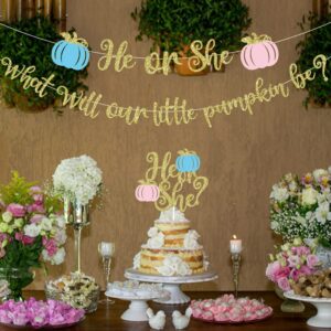 Pumpkin Gender Reveal Decorations Fall Gender Reveal Decorations He or She What Will Our Little Pumpkin Be Banner He or She Cake Topper He or She Fall Baby Gender Reveal Party Supplies