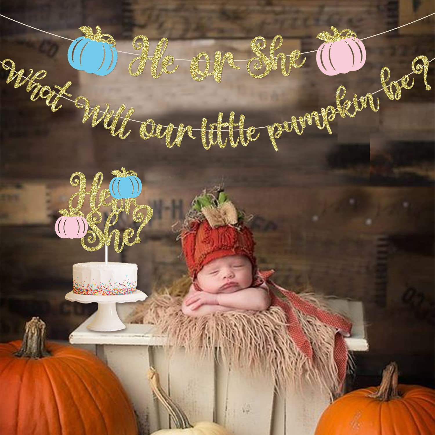 Pumpkin Gender Reveal Decorations Fall Gender Reveal Decorations He or She What Will Our Little Pumpkin Be Banner He or She Cake Topper He or She Fall Baby Gender Reveal Party Supplies