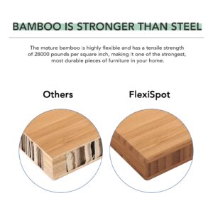 FLEXISPOT Pro Bamboo 3 Stages Dual Motor Electric Standing Desk 55x28 inch Whole-Piece Desk Board Height Adjustable Desk Electric Sit Stand Up Desk Modern Desk (White Frame + Bamboo Desktop)