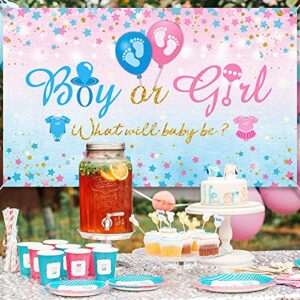 Gender Reveal Background Boy or Girl Backdrop Blue Pink Gender Reveal Party What Will Baby Be Banner Baby Shower Photography Photo Booth, 70.8 x 43.3 Inch