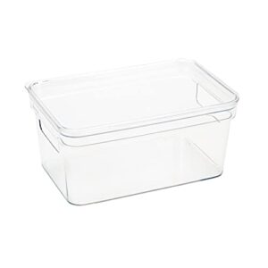 simplify small, super clear lidded storage bin