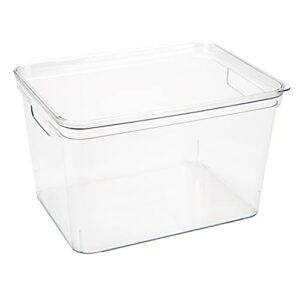 simplify large, super clear lidded storage bin