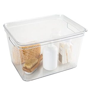 Simplify Large, Super Clear Lidded Storage Bin