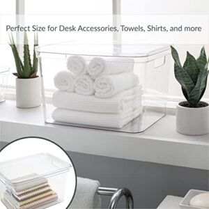 Simplify Large, Super Clear Lidded Storage Bin