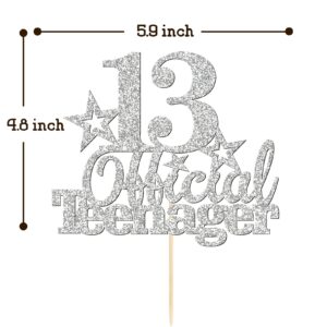 Glitter Silver 13 Official Teenager Birthday Cake Topper for Boy or Girl, Happy 13th Birthday Party Decoration, Hello 13 Cake Topper, Cheers to 13 Years, 13th Birthday Anniversary Party Supplies