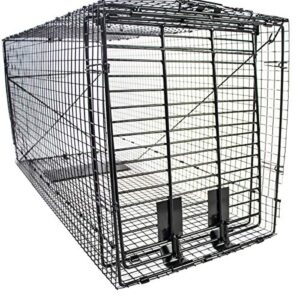 humane way folding 50 inch live humane animal trap - safe traps for all animals - dogs, raccoons, cats, groundhogs, opossums, coyote, bobcat - 50"x20"x26"