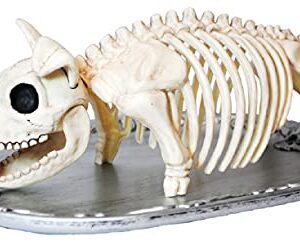 Seasons USA Roasted Pig Roast Skeleton On A Platter Tray Prop Halloween Decoration