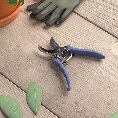 Amazon Basics 8-Inch Steel Bypass Pruning Shears, Blue