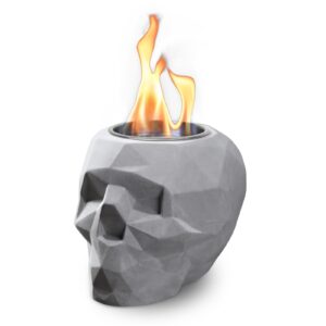 brian & dany tabletop fire pit, portable mini fireplace for indoor and outdoor use