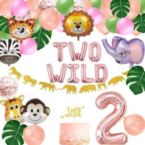 two wild birthday party decorations, jungle themed secend girl birthday party supplies set cute animals head balloons and two wild banner caketoppers for girls 2nd jungle birthday decor