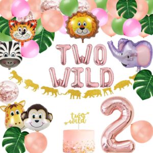 Two Wild Birthday Party Decorations, Jungle Themed Secend Girl Birthday Party Supplies Set Cute Animals Head Balloons and Two Wild Banner Caketoppers for Girls 2nd Jungle Birthday Decor