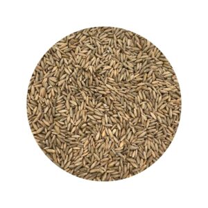 Winter Rye Grass Seed Grass Seed Fall Mix Ryegrass Seeds for Lawn No Till Food Plot Seed,Fall Cover Crop Seed Mix 5 lbs by Old Cobblers Farm