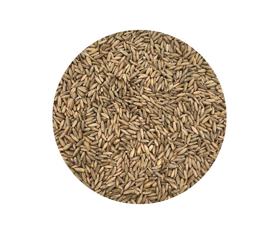 Winter Rye Grass Seed Grass Seed Fall Mix Ryegrass Seeds for Lawn No Till Food Plot Seed,Fall Cover Crop Seed Mix 5 lbs by Old Cobblers Farm