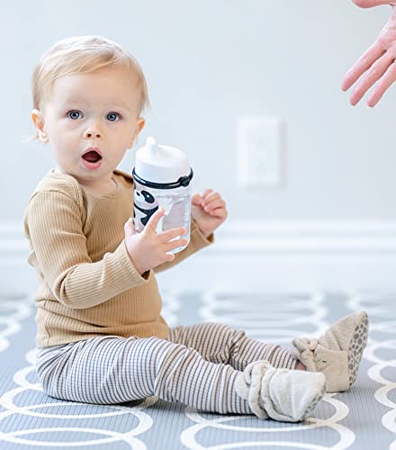 Lollaland Panda Bear, 9 ounce, 6 months Plus, Spill and Leak Proof, Bite Proof, Easy Grip, Hard Spout, BPA Free, Dishwasher Safe, Sippy Cup