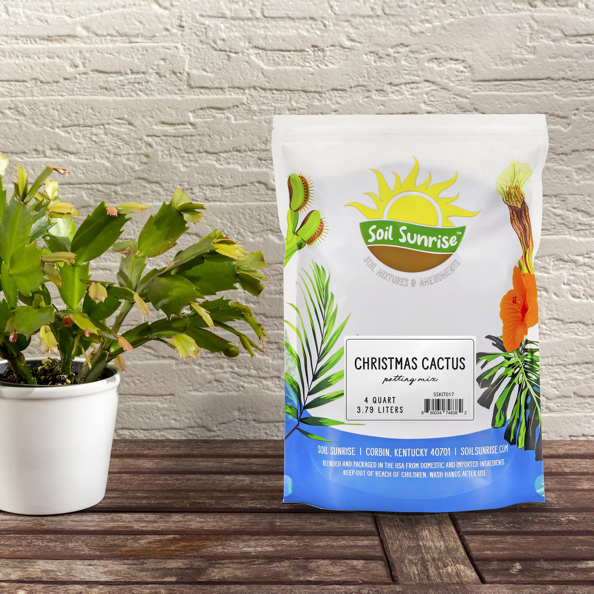 Christmas Cactus Potting Soil Mix (4 Quarts), Hand Blended Soil for Indoor Houseplants Custom Blended