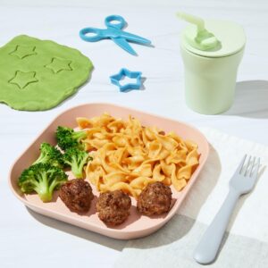 Nurture Life Healthy Toddler & Kid Food Favorites 6-Meal Variety Pack (including Chicken Meatballs and Pasta), Organic Focus