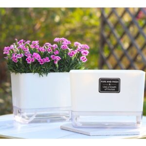 FAMZ Self Watering Planters 4 Pack，Plant Pots for Indoor，Automatic Moisturizing，Transparent Square Flower Pot for Indoor and Outdoor Plants，Succulents，Violets，Ivy