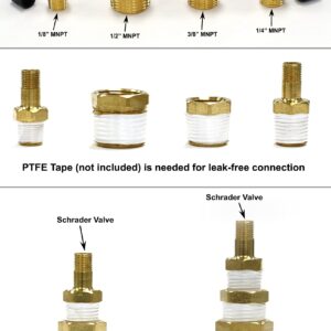 Schrader Valve to Male NPT Fittings | Adapters to Winterize Backflow Preventer and Pressure Vacuum Breaker (PVB) for Sprinkler Systems| Blowout Method Using Air Compressor (Lead-Free Brass)