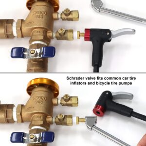 Schrader Valve to Male NPT Fittings | Adapters to Winterize Backflow Preventer and Pressure Vacuum Breaker (PVB) for Sprinkler Systems| Blowout Method Using Air Compressor (Lead-Free Brass)