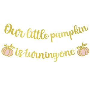 our little pumpkin is turning one banner, little pumpkin banner, little pumpkin baby shower decorations, pumpkin first birthday,fall baby shower decorations