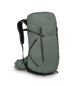 osprey sportlite 30l unisex hiking backpack, pine leaf green, m/l